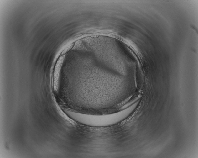 X0000097791528200804041224
