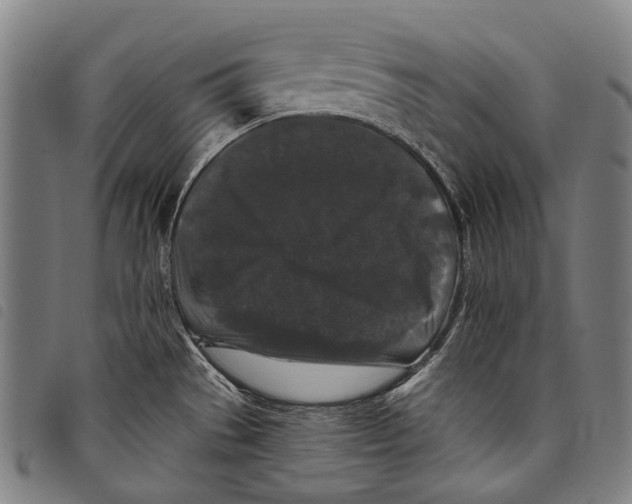X0000097791529200804041224