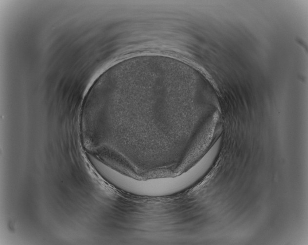 X0000097791530200804041224