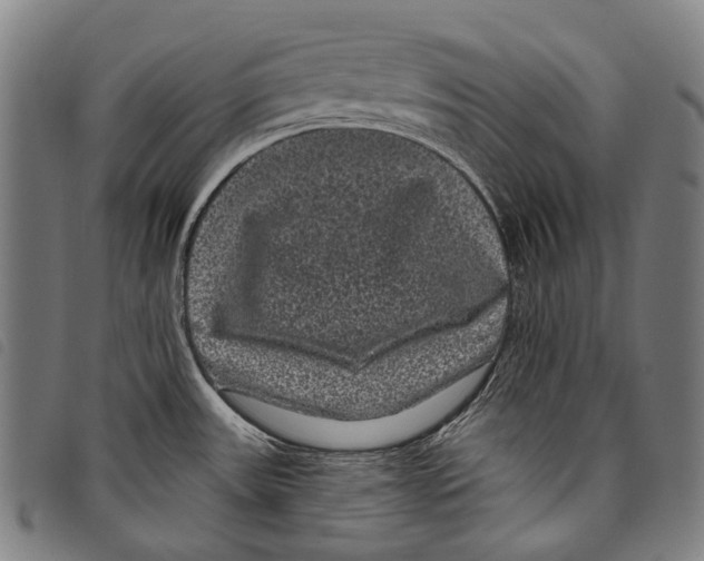 X0000097791531200804041225