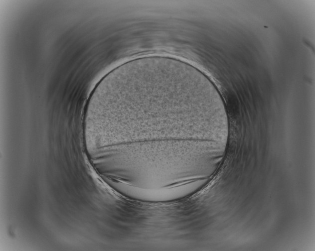 X0000097791534200804041225