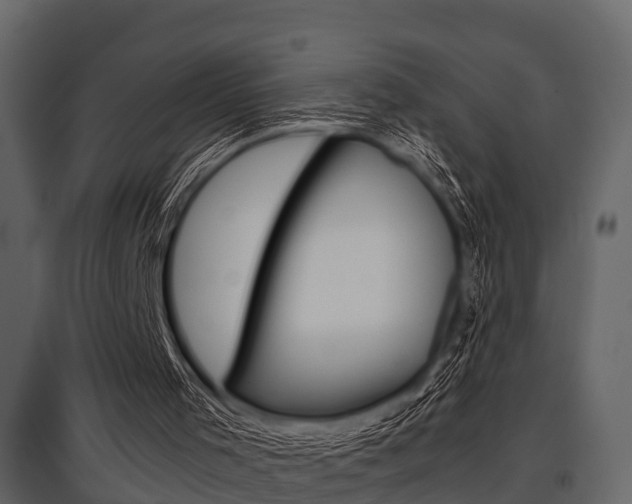 X0000097800001200803140747