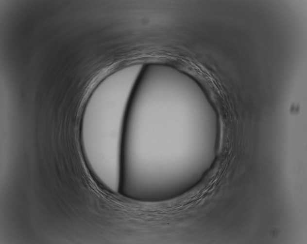 X0000097800003200803140747