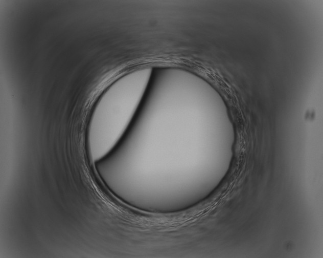 X0000097800005200803140747