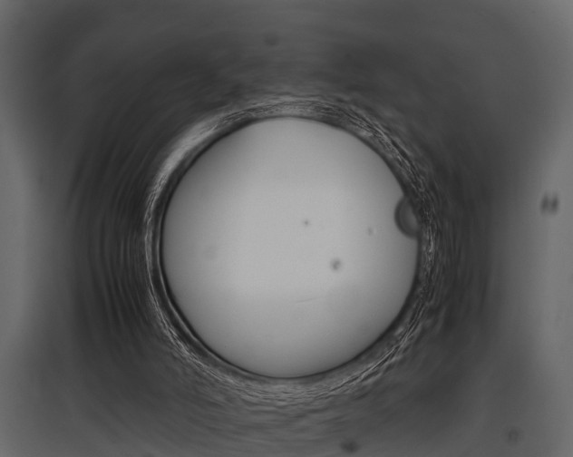 X0000097800006200803140747