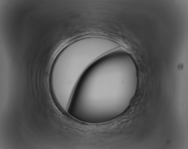 X0000097800007200803140747