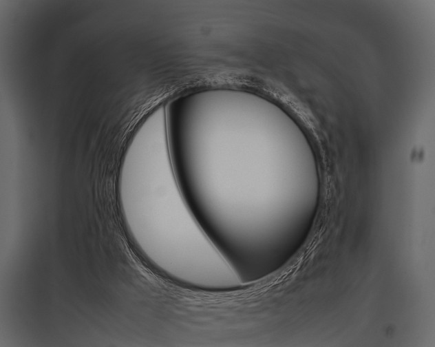 X0000097800009200803140746