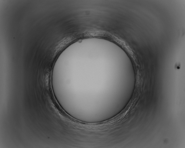 X0000097800010200803140746