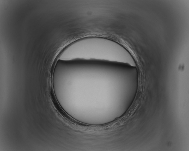 X0000097800011200803140746