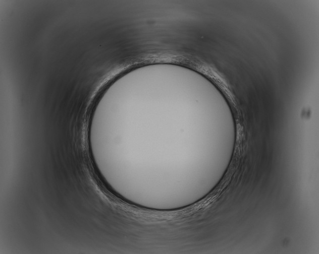 X0000097800012200803140746