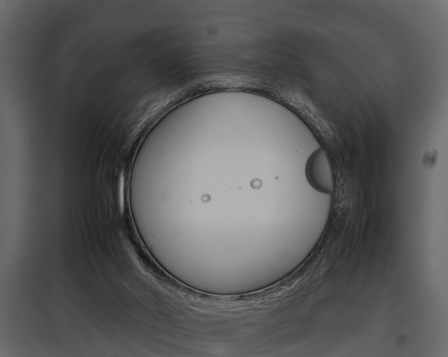 X0000097800014200803140746