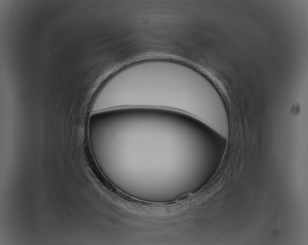 X0000097800015200803140746