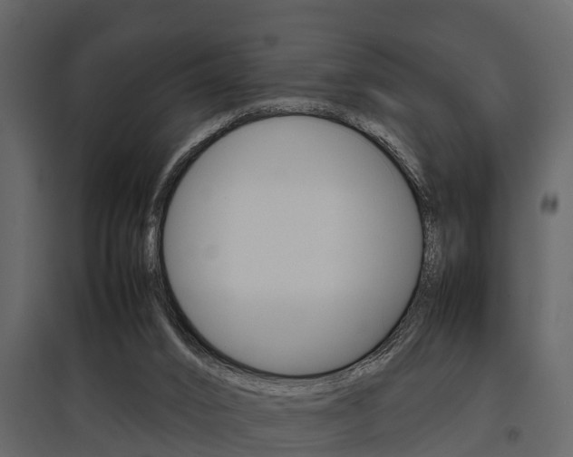 X0000097800016200803140746
