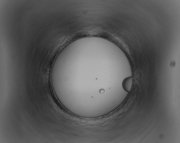 X0000097800018200803140746