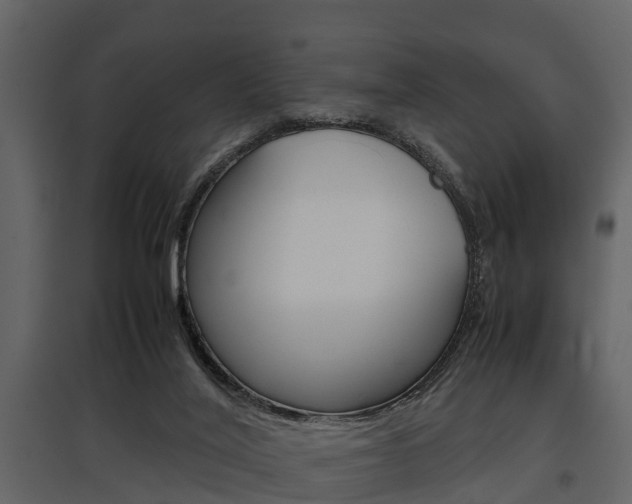 X0000097800020200803140746