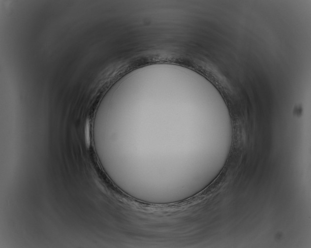 X0000097800022200803140746
