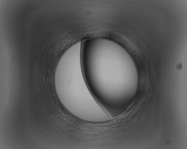 X0000097800025200803140746