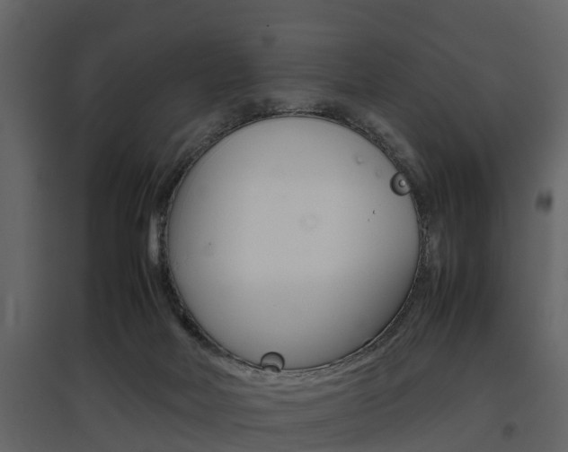 X0000097800026200803140746