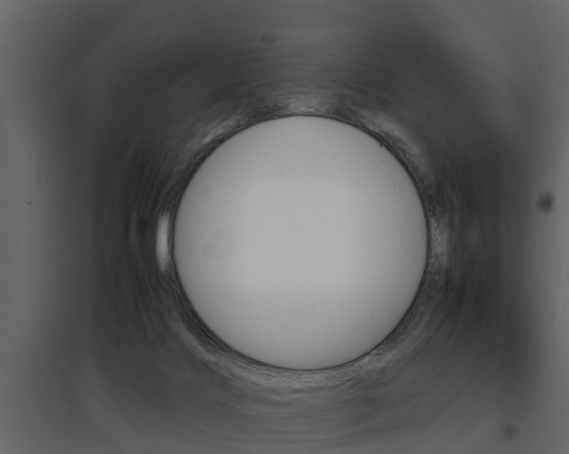 X0000097800028200803140746