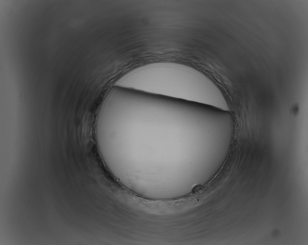 X0000097800030200803140746
