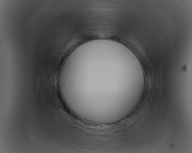 X0000097800032200803140746