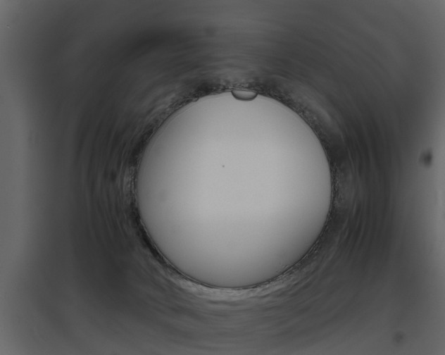 X0000097800034200803140746