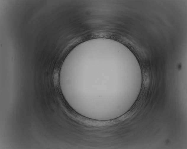 X0000097800036200803140746