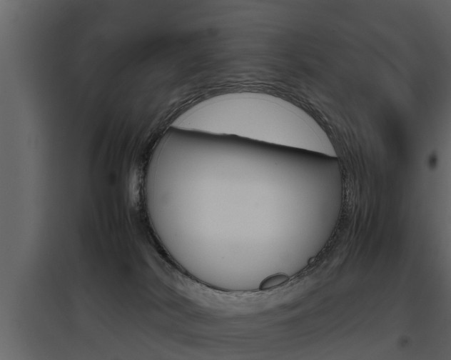 X0000097800038200803140746