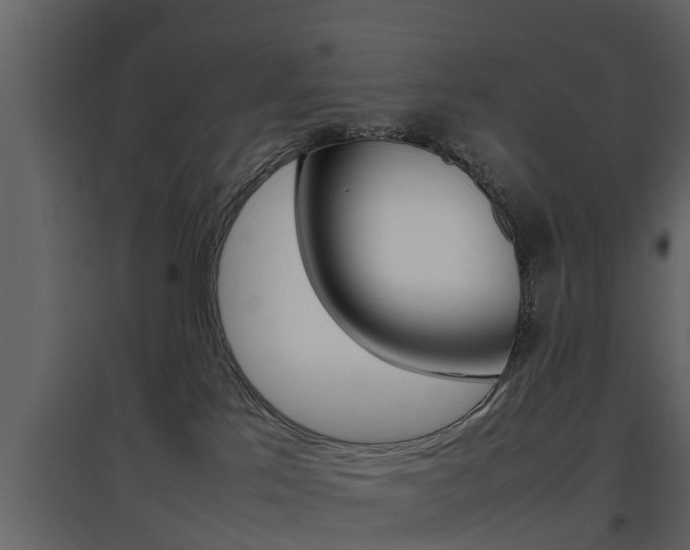 X0000097800041200803140746