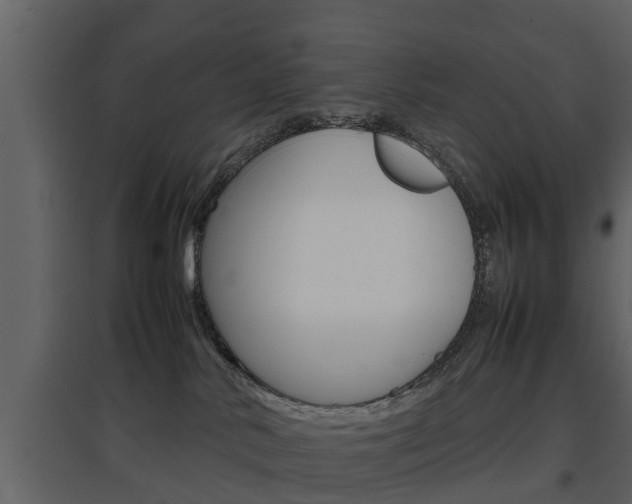 X0000097800042200803140746
