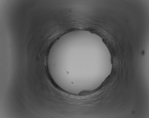 X0000097800043200803140746