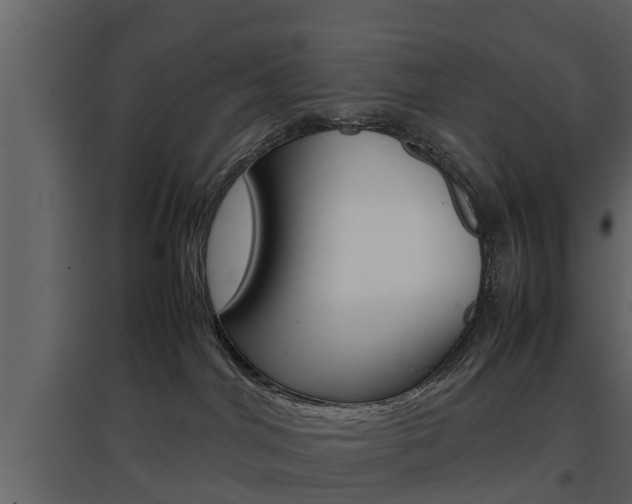 X0000097800044200803140746