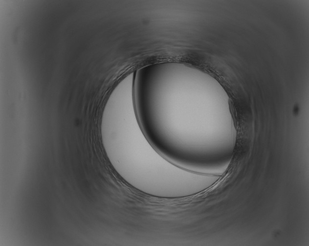 X0000097800045200803140746
