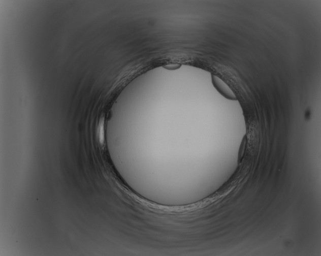 X0000097800046200803140746