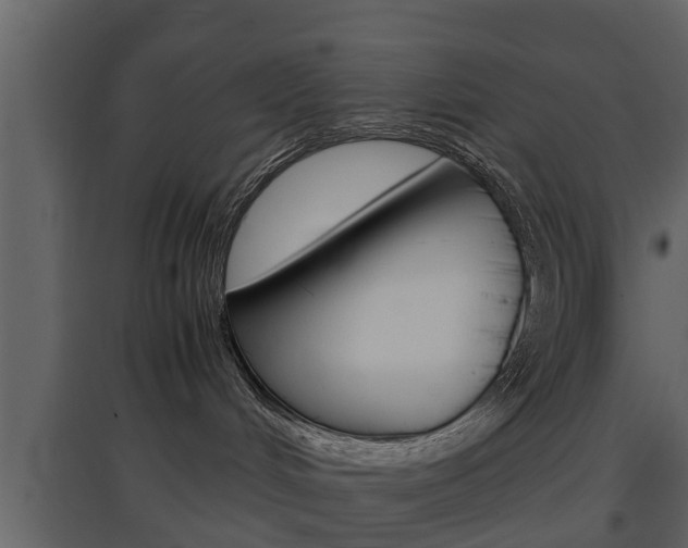 X0000097800048200803140746