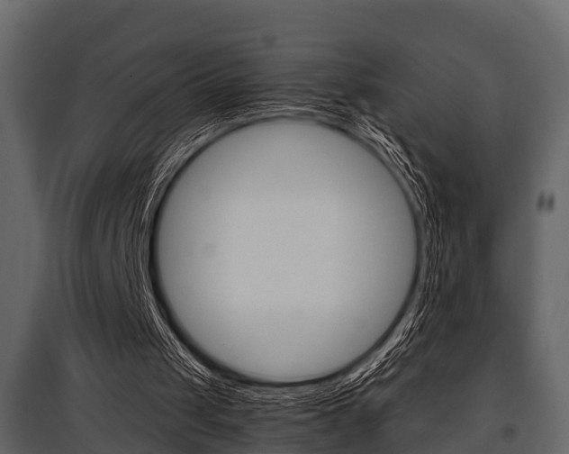 X0000097800049200803140745
