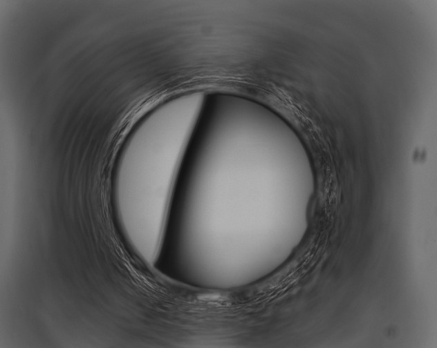 X0000097800050200803140745