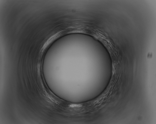 X0000097800051200803140745