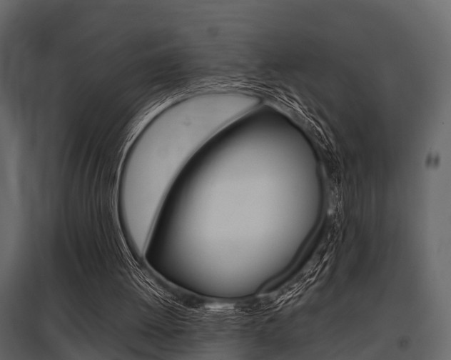 X0000097800052200803140745