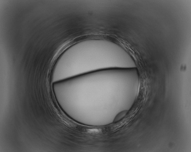 X0000097800053200803140745