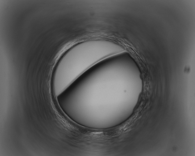 X0000097800054200803140745