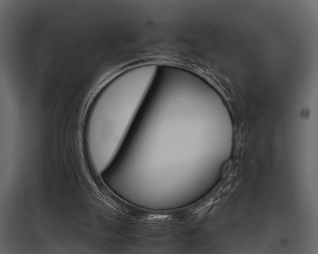 X0000097800055200803140745
