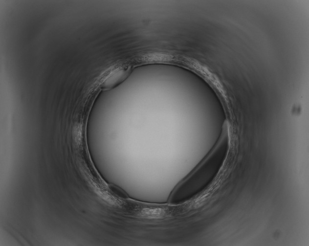 X0000097800057200803140745