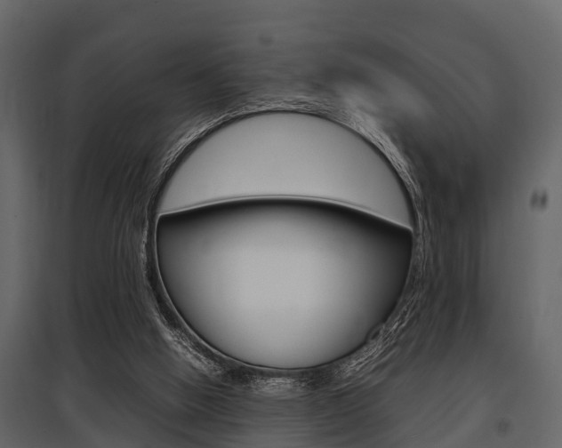 X0000097800058200803140745