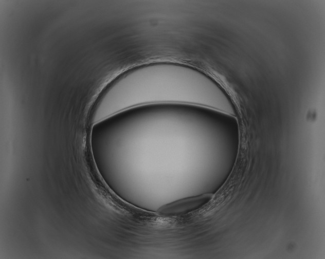 X0000097800060200803140745