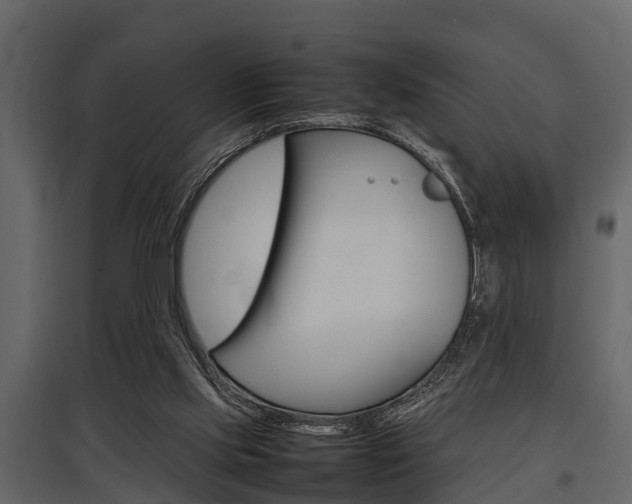 X0000097800061200803140745
