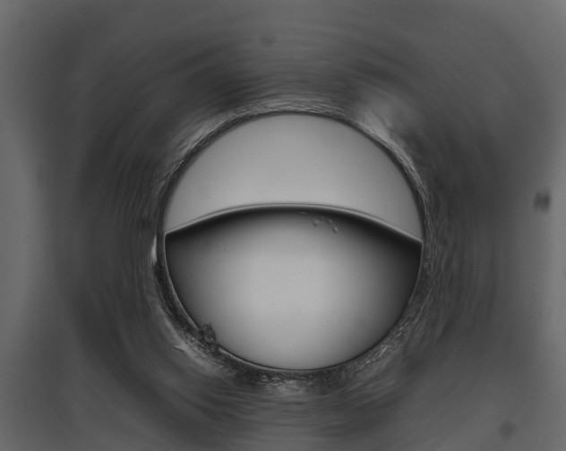 X0000097800062200803140745