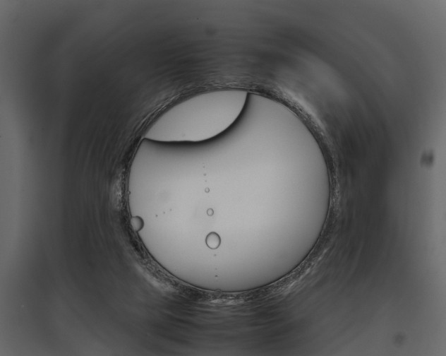 X0000097800065200803140745
