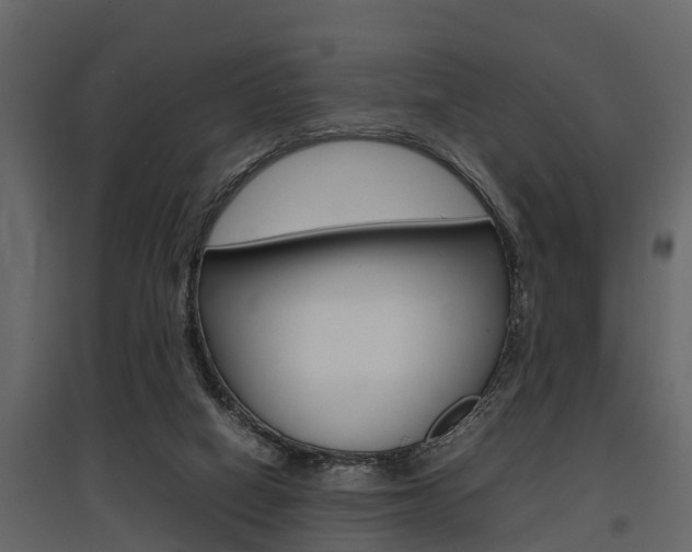 X0000097800066200803140745