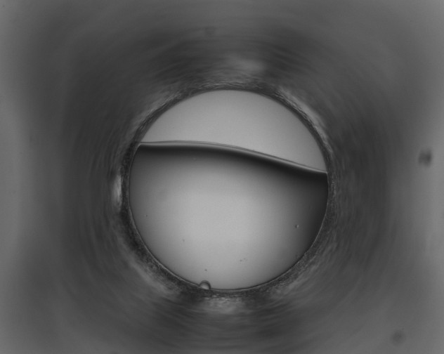 X0000097800067200803140745